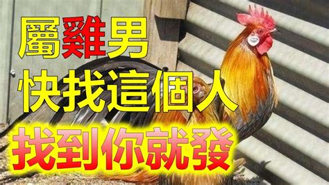 牛女馬男|屬馬的男人與屬牛的女人